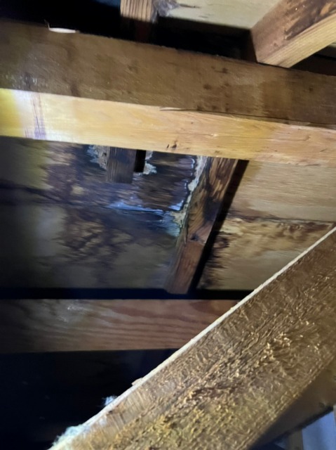 雨漏りしている屋根裏